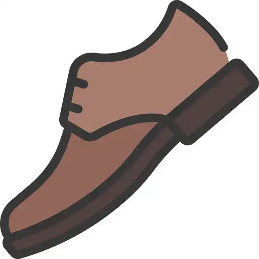 کفش روزمره