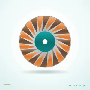 دیسک فلاپ ۱۱۵